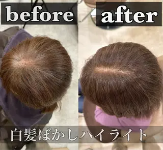 カラー 藤本 豪海のヘアスタイル