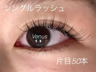 マツエク・マツパ eyelash catwinkのマツエク・マツパデザイン