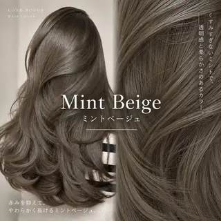 ミディアム 韓国センターパート /レイヤー/藍のヘアスタイル