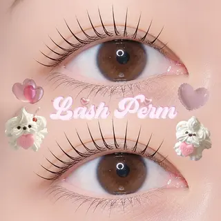 マツエク・マツパ まつエクまつげパーマ アイブロウ💗南青山のマツエク・マツパデザイン