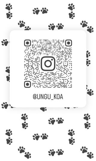 kokoa‎‎ 𖤐 ̖́-‬のマツエク・マツパデザイン