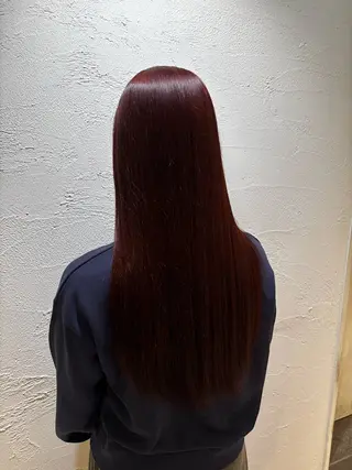 ロング カラー 🩶MISA 🩶のヘアスタイル