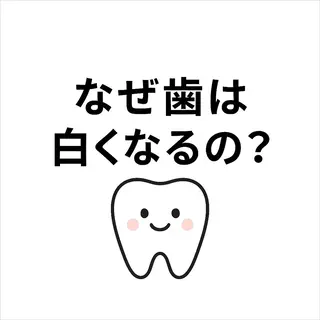 ホワイトニング ショップ津店のその他イメージ