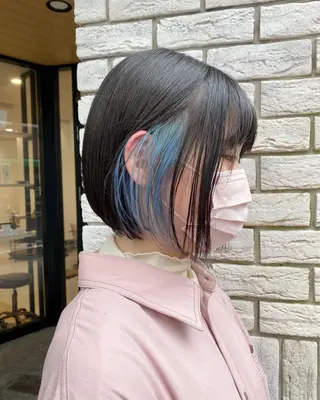 ショート カラー ブロンド/ミックス カラー三毛猫Kaiのヘアスタイル