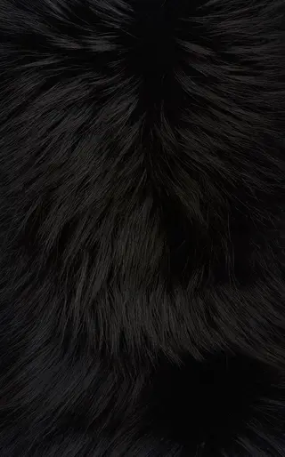 マツエク・マツパ 🐈‍⬛nono Belinda🎀のマツエク・マツパデザイン