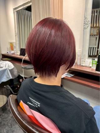 ショート カラー 脇部 亜梨沙のヘアスタイル