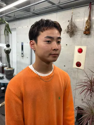 ショート フジイ トワのヘアスタイル