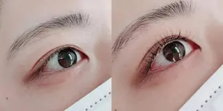 マツエク・マツパ 胡蝶蘭レディースサロ ン眉マツパエクステの眉毛・アイブロウイメージ