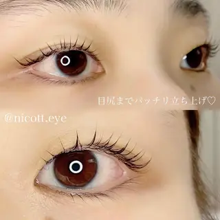 マツエク・マツパ nicott. mayukaのマツエク・マツパデザイン