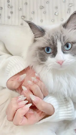 ネイル Sun Nail 池袋のネイルデザイン