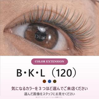 マツエク・マツパ ディアナ ひたちなか高場店仲田のマツエク・マツパデザイン