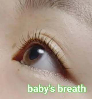 マツエク・マツパ baby's breathのマツエク・マツパデザイン
