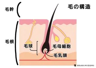 福井 周子のその他イメージ