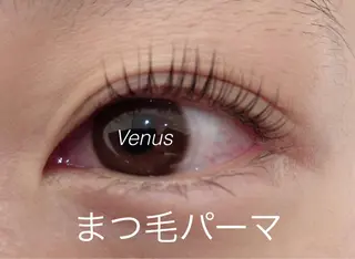 マツエク・マツパ eyelash catwinkのマツエク・マツパデザイン