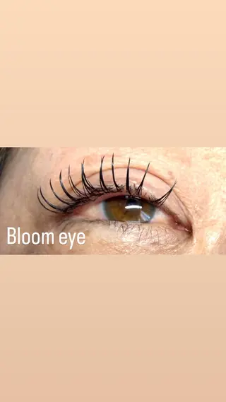 マツエク・マツパ Bloom eye 豊中 北緑丘の眉毛・アイブロウイメージ