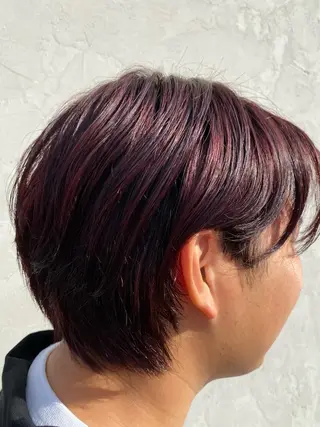 ショート 梶浦 颯のヘアスタイル