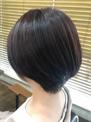 ショート 佐々木 千夏のヘアスタイル