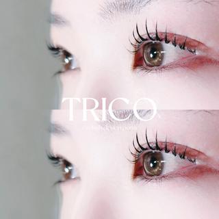 マツエク・マツパ TRICO調布 🎀mao🎀のマツエク・マツパデザイン