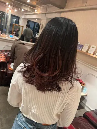 ロング カラー ハイライト/インナー /ブリーチ/レイヤーのヘアスタイル