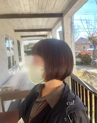 ショート カット/カラー/ ハイライト/縮毛のヘアスタイル