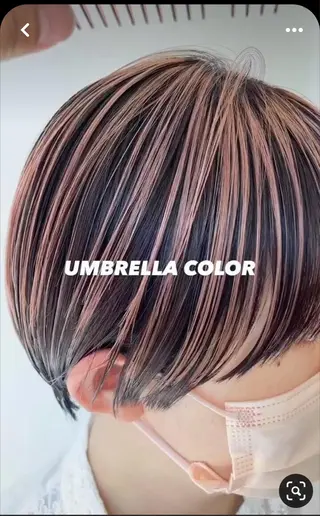 ショート カラー 白髪ぼかし/ショート /ミニボブだいじのヘアスタイル
