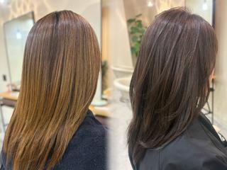セミロング カラー 凪 爽のヘアスタイル