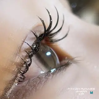 マツエク・マツパ ai__lash__ artistのマツエク・マツパデザイン