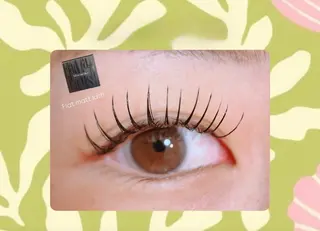 マツエク・マツパ mist AYA 🏝️eyelashの眉毛・アイブロウイメージ