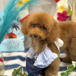 ネイル Uchida Mayunaのその他イメージ