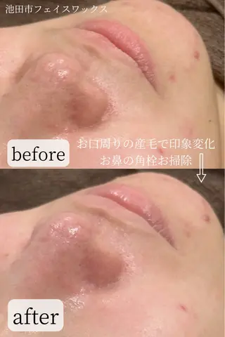 堀 和恵の眉毛・アイブロウイメージ