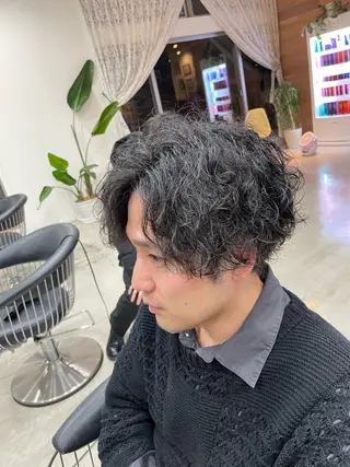 パーマ メンズ 芳賀 風斗のヘアスタイル