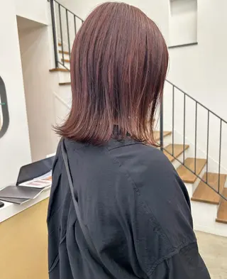 ミディアム 本澤 朋香のヘアスタイル