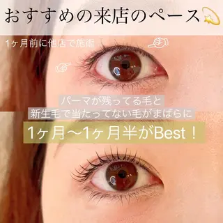 マツエク・マツパ Eyelash salon MoNaの眉毛・アイブロウイメージ