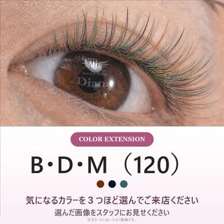 マツエク・マツパ ディアナ ひたちなか高場店仲田のマツエク・マツパデザイン