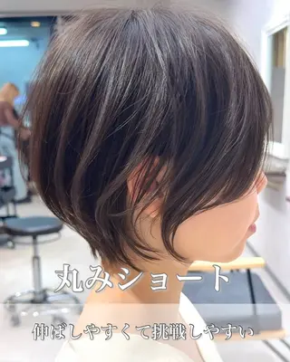 ショート カラー ⭐️銀座/ショート/ 艶カラー/りょうがのヘアスタイル