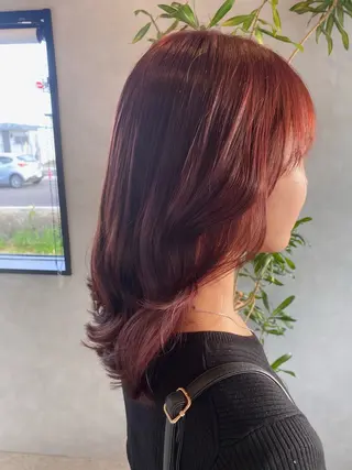 カラー 白井 音羽のヘアスタイル