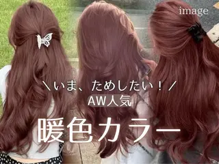セミロング ショート/ボブ 艶髪カラーTOSHIのヘアスタイル