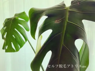 セルフ脱毛 atelier aoのエステ・リラクイメージ