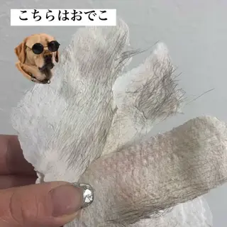 ローズフォーライフ YUMIの眉毛・アイブロウイメージ