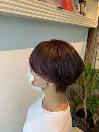 ショート 大宮/山口 竣也のヘアスタイル