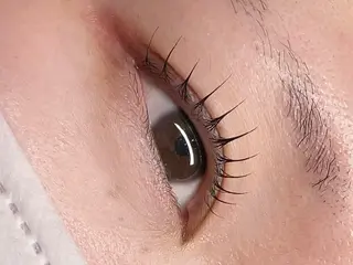 マツエク・マツパ CALM ayakaのマツエク・マツパデザイン