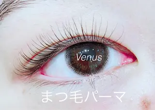 マツエク・マツパ eyelash catwinkのマツエク・マツパデザイン