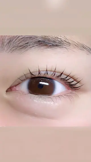 マツエク・マツパ DL•BEAUTY MARIAのマツエク・マツパデザイン