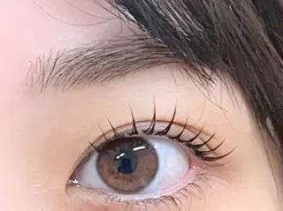 マツエク・マツパ 骨格似合わせ眉WAX 眉まつ毛専門/石井の眉毛・アイブロウイメージ