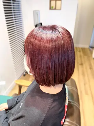 ショート カラー 堀 望美のヘアスタイル