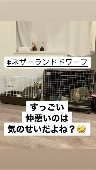 ❤️予約殺到❤️mi オールハンド痩身専門のエステ・リラクイメージ
