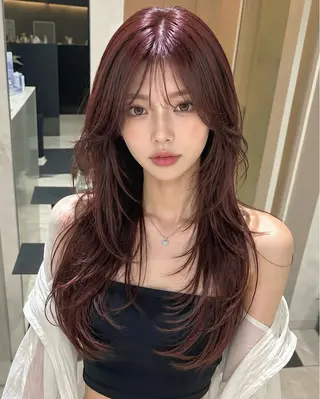 ロング カラー 韓国ハイレイヤー ハッシュカット特化のヘアスタイル