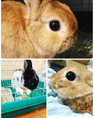 ❤️予約殺到❤️mi オールハンド痩身専門のエステ・リラクイメージ