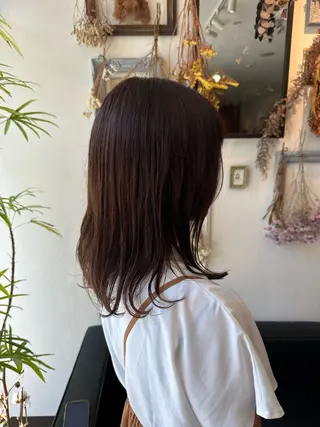 ミディアム カラー 💜推しインナー カラー/菊池柊真💜のヘアスタイル