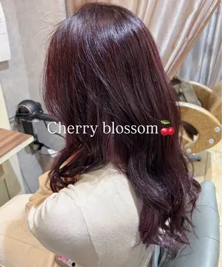 セミロング カラー 🍒レイヤー/ブリー チ艶カラー🌺NOAのヘアスタイル
